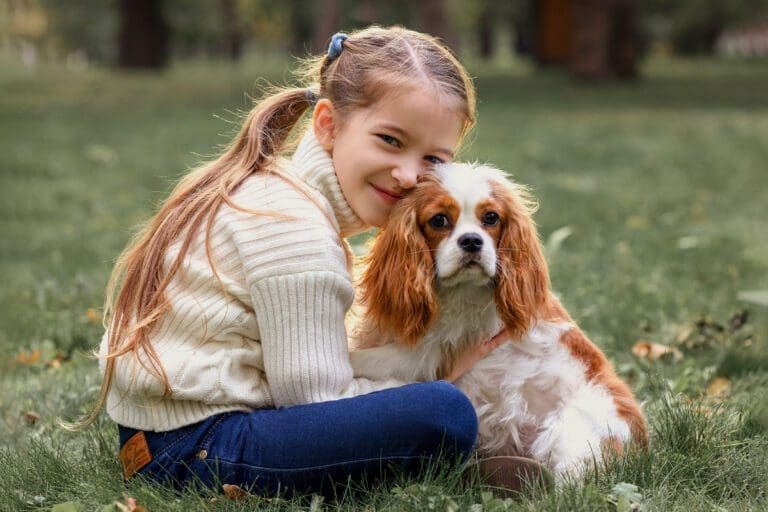 Cavalier King Charles Spaniel