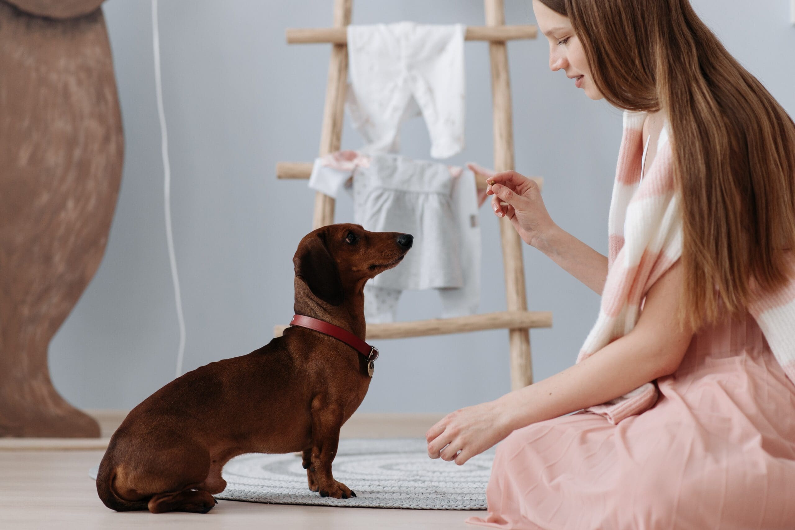 Woman giving her dog a treat