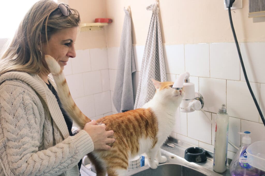Woman petting cat in bathroom