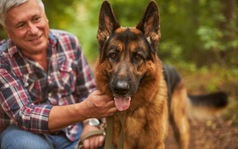 Senior man with German Shepherd