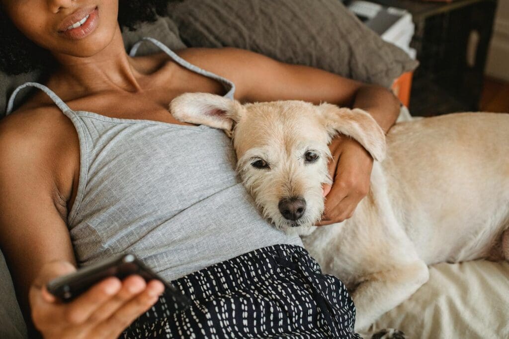 From above of crop anonymous ethnic female browsing internet on cellphone while embracing dog on bed at home