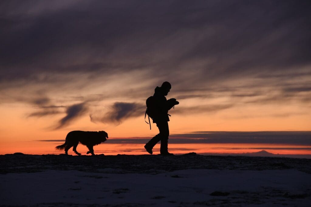 silhouette of man and dog hiking