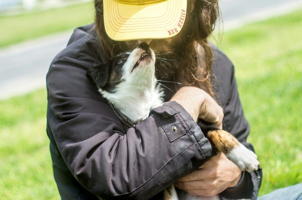 a person holding a mixed breed dog