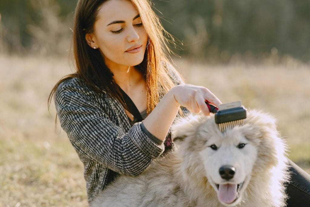 Photo of Woman Brushing Her Dog