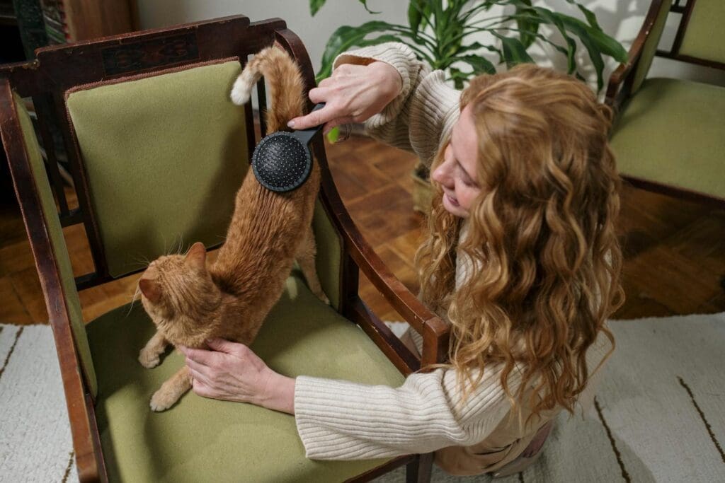 Woman Brushing Her Pet Cat