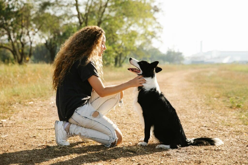 Full body side view of female owner caressing cute black Border Collie on rural road in countryside on summer day