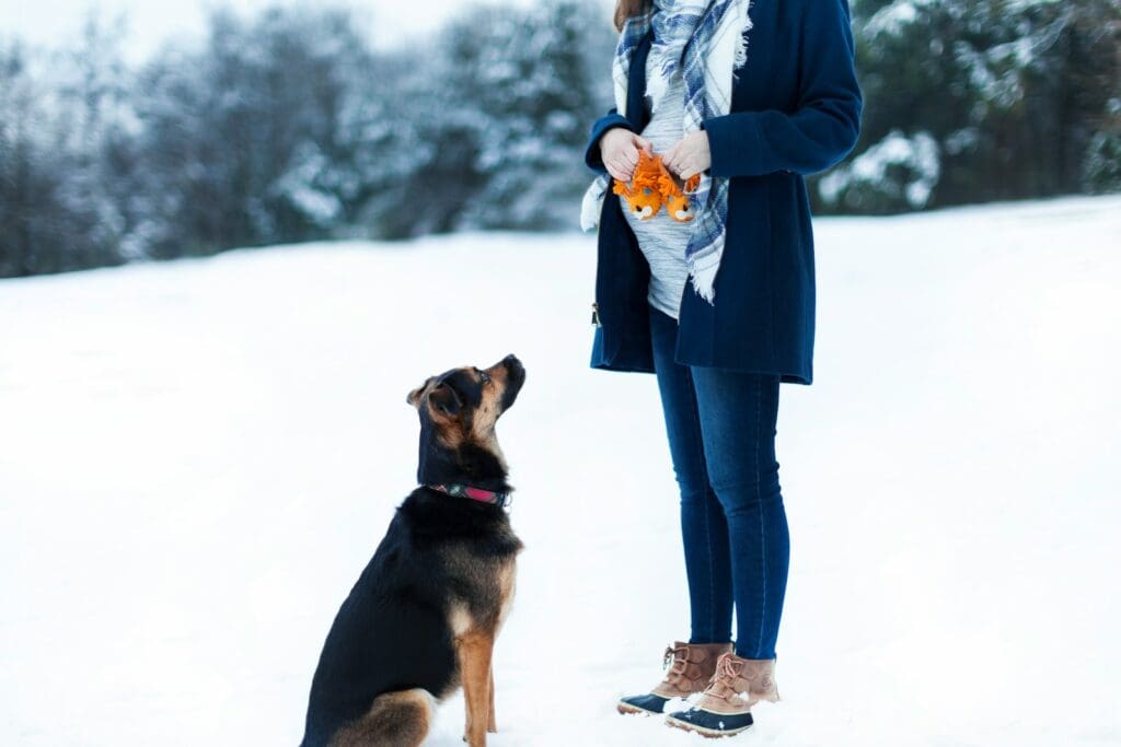pregnant woman standing beside black dog on snow field