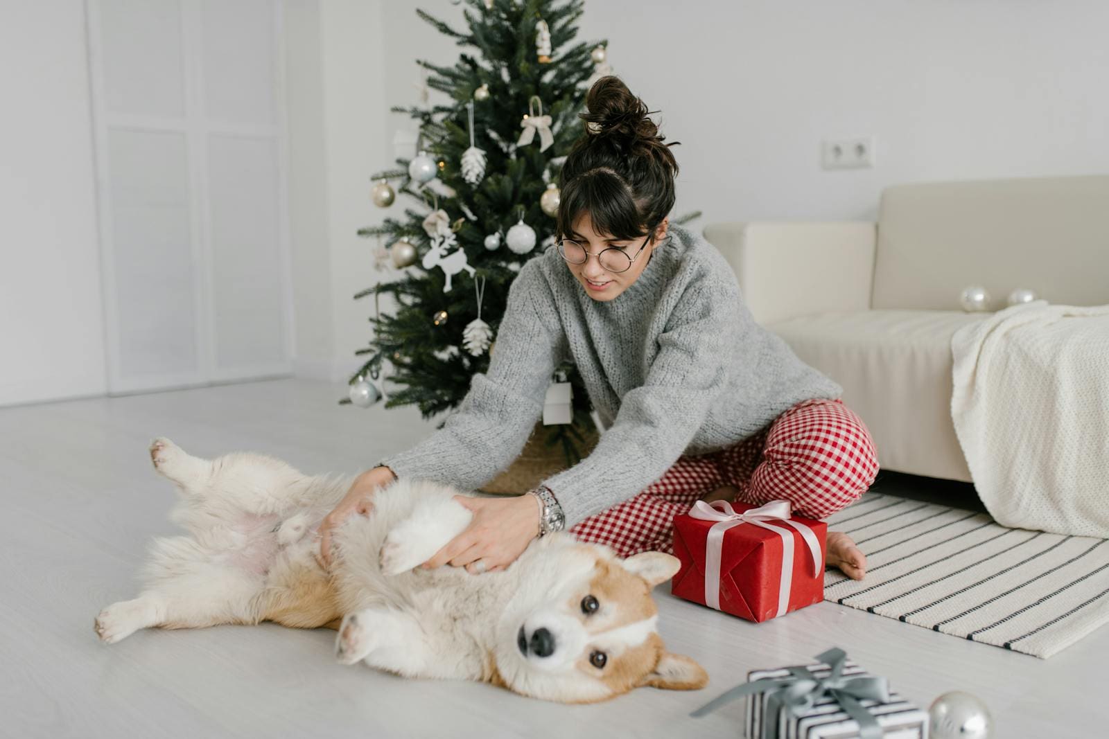 Cold Weather Activities to Keep Your Dog Healthy and Happy - Pet Hub USA - Dogs Cold Weather Exercise Ideas