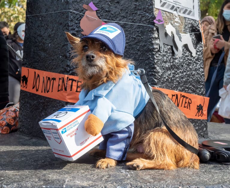 Dog costume parade in Sunset Park (16432)