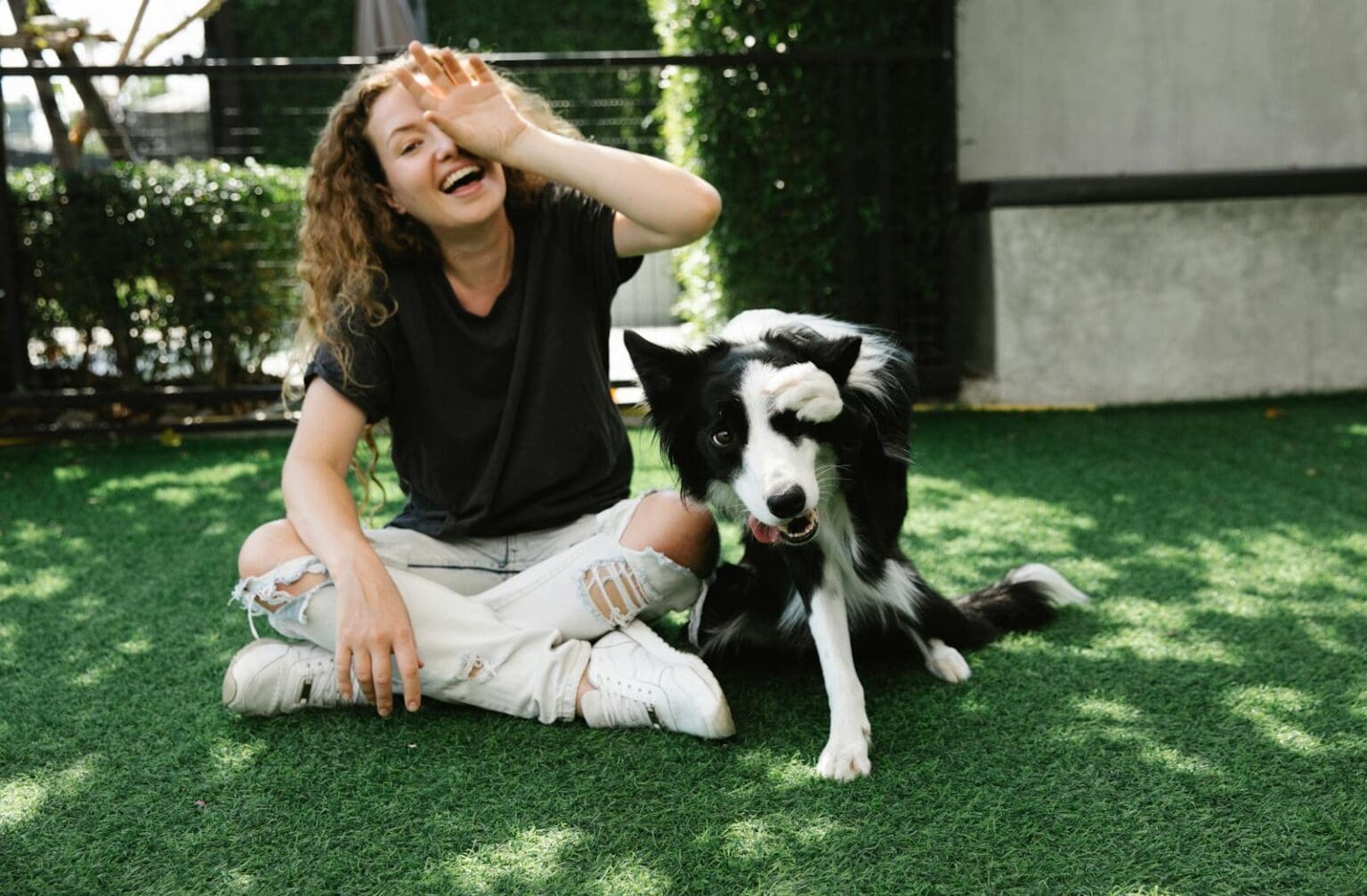 Cold Weather Activities to Keep Your Dog Healthy and Happy - Pet Hub USA - Dogs Cold Weather Exercise Ideas