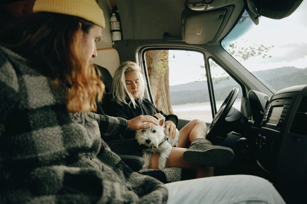 Cozy van interior with friends and a fluffy dog enjoying a scenic view.