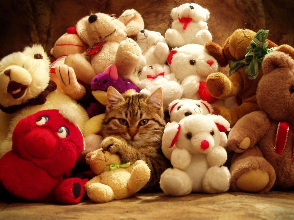 white bear plush toy beside brown tabby cat