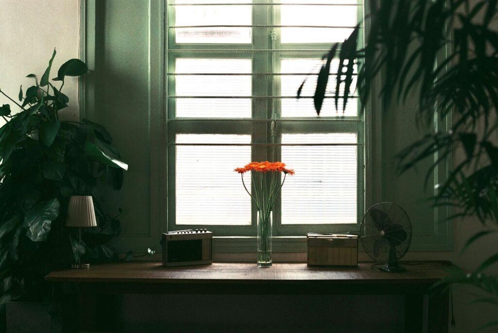A serene indoor setting featuring a table with orange flowers, plants, and a window view.