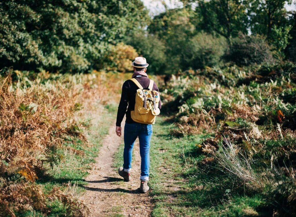 A man walks along a forest trail with a backpack under the autumn sun.
