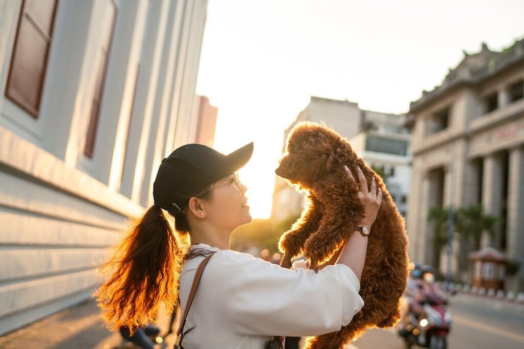 woman, dog, pet, sunset, street, city, road, friends, nature, girl, portrait, dog, dog, dog, dog, dog, pet, pet, pet, pet, friends, animal, girl, girl