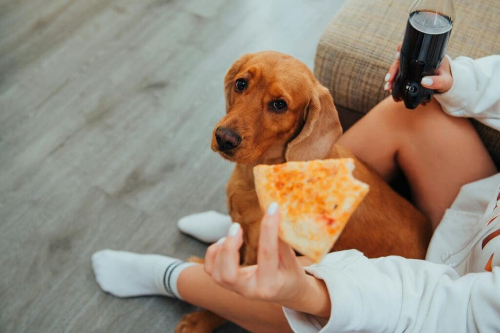 Woman holding pizza and drink with dog sitting nearby, sharing a cozy moment indoors.