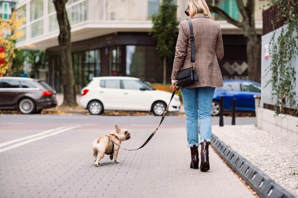 a woman walking a small dog on a leash