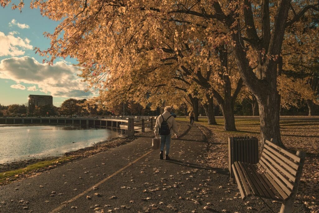 a person walking down a path next to a lake