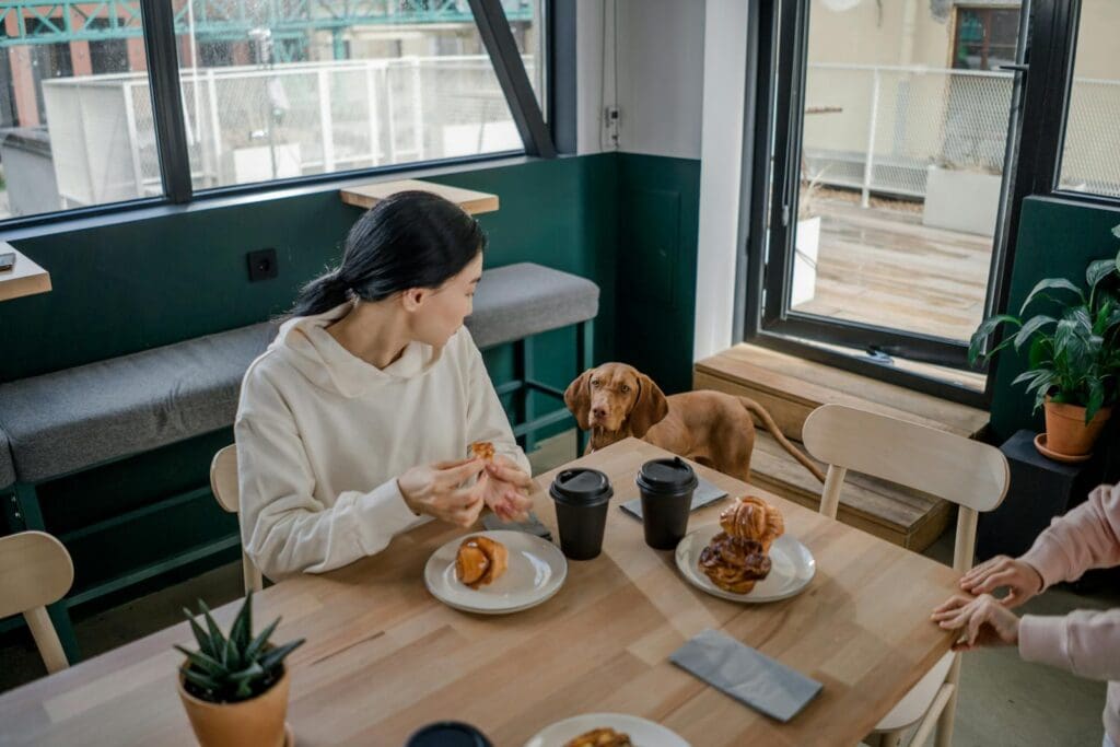 Enjoying breakfast with coffee, pastries, and a Vizsla dog in a cozy café setting.