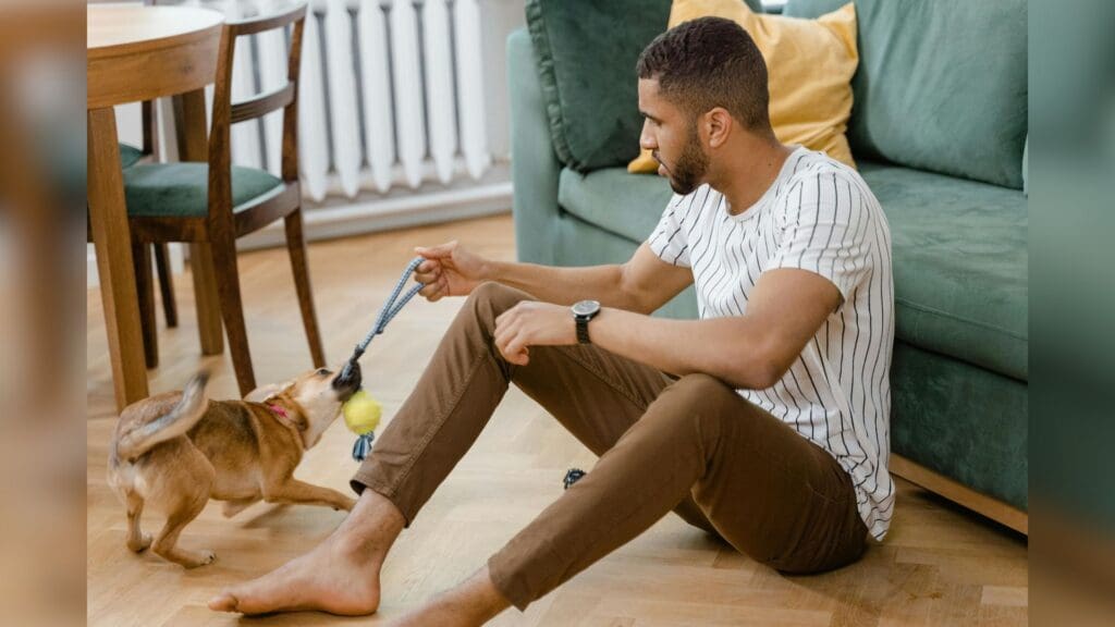 A man playing tug-of-war with his dog in a cozy indoor setting on a wooden floor.