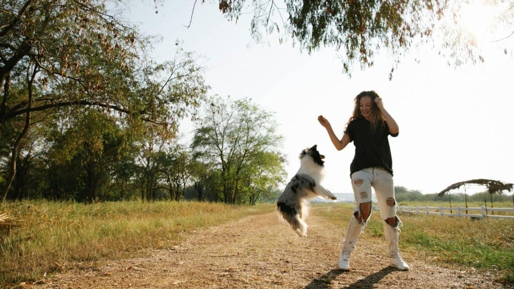 Dog jumping