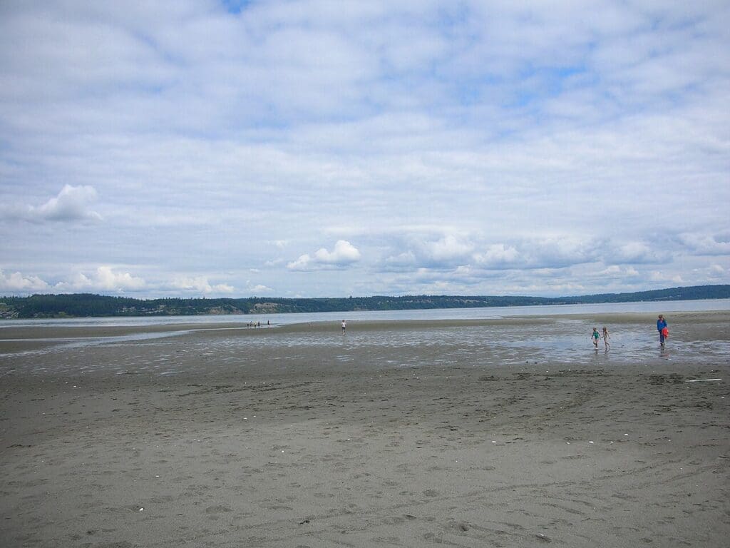 Double Bluff Beach
