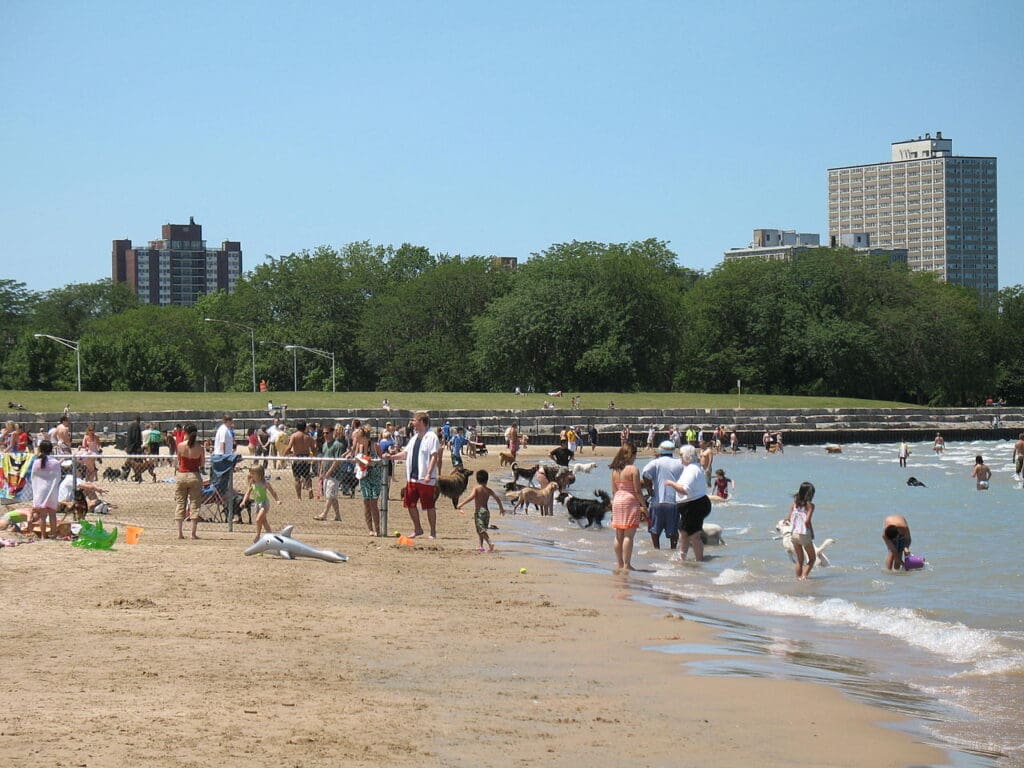 Montrose Dog Beach