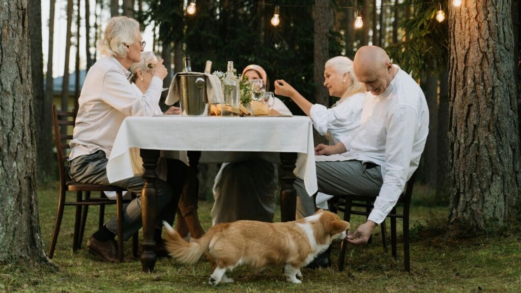 Seniors enjoying an outdoor dinner with a corgi under string lights in a forest setting.