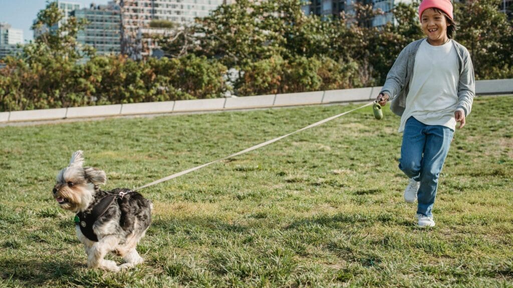 Smiling ethnic child walking Yorkshire Terrier on leash on meadow in city on sunny day