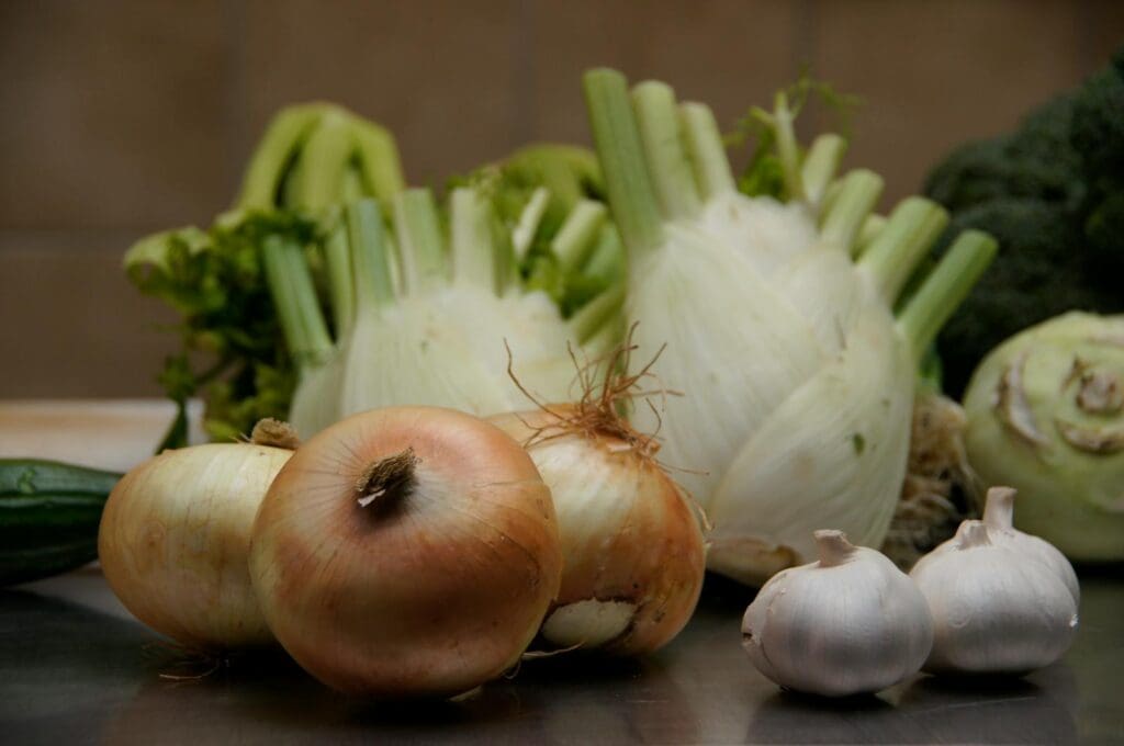 A close-up of fresh fennel, onions, and garlic arranged on a kitchen counter.