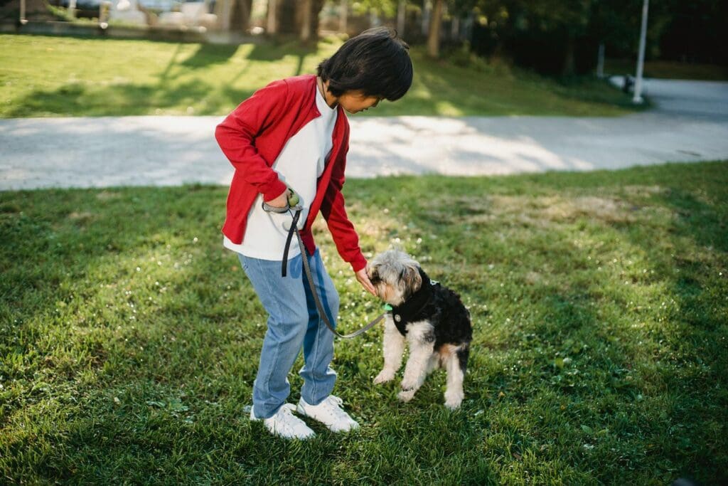 Full length of kid wearing casual clothes walking with dog on green grass in summer sunny day outdoors