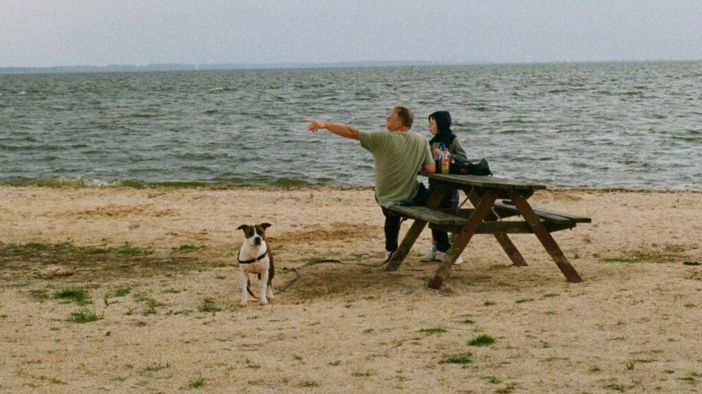 A couple sitting on a beach bench with their dog, enjoying the serene ocean view.