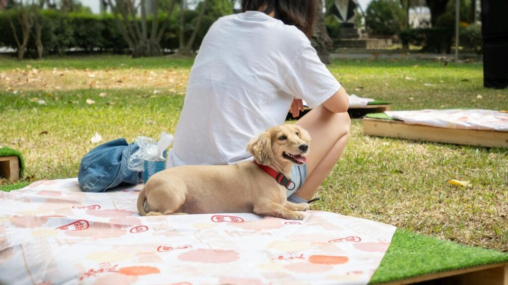 A woman enjoys a sunny day with her dog on a picnic blanket in a park.