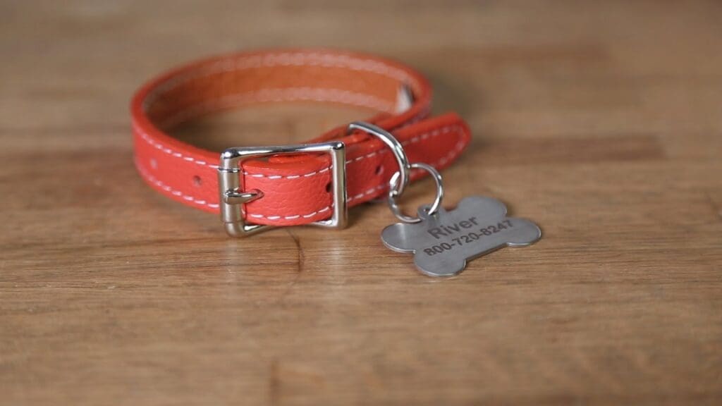 Dog ID Tags