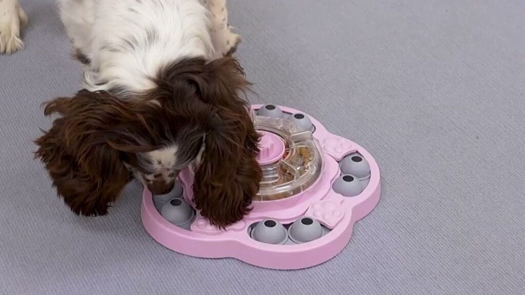 Food Puzzle dog Toys