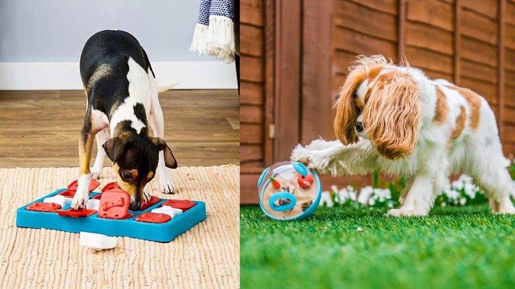 Treats and Puzzle Toys