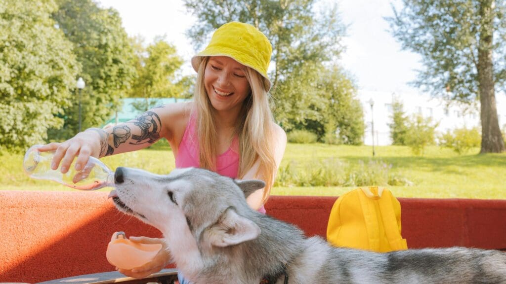 Water Bottle for dog