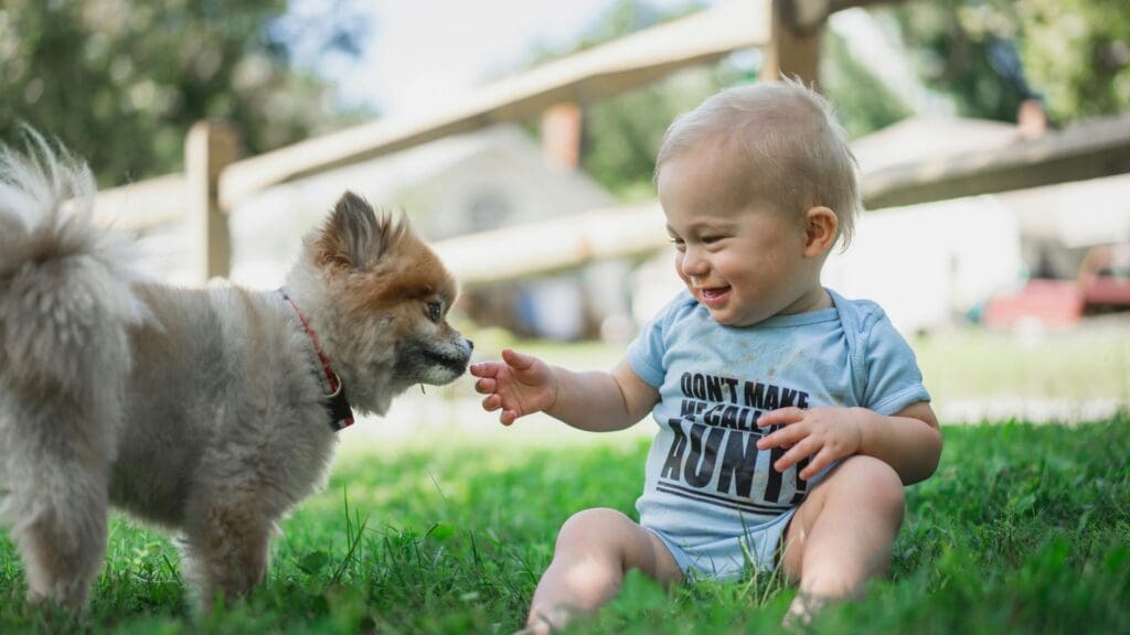 boy in black and white stripe shirt sitting on green grass field beside brown pomeranian puppy