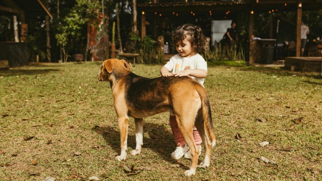 dog, kid