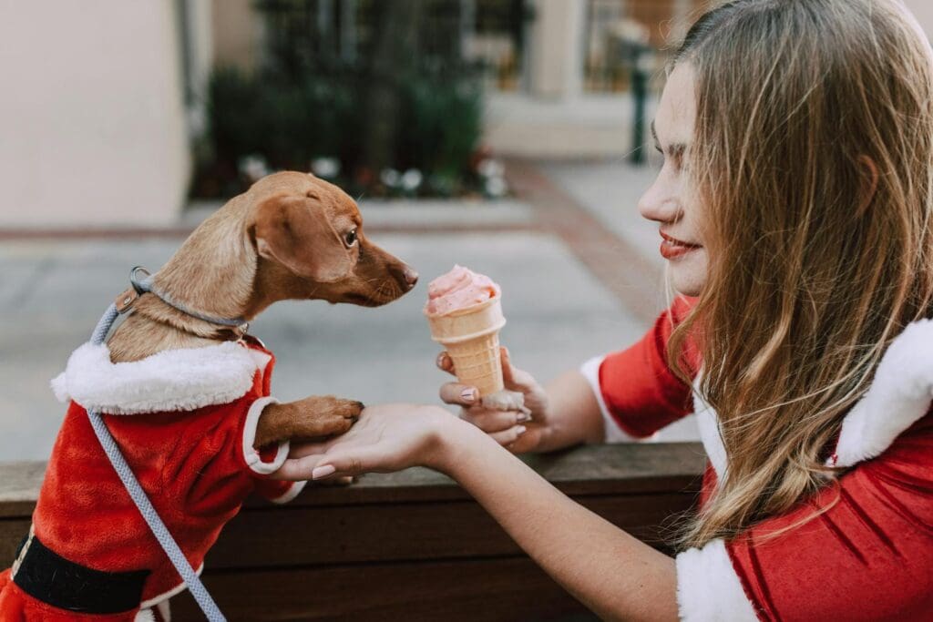Woman in Santa costume shares ice cream with a Dachshund in matching outfit outdoors.