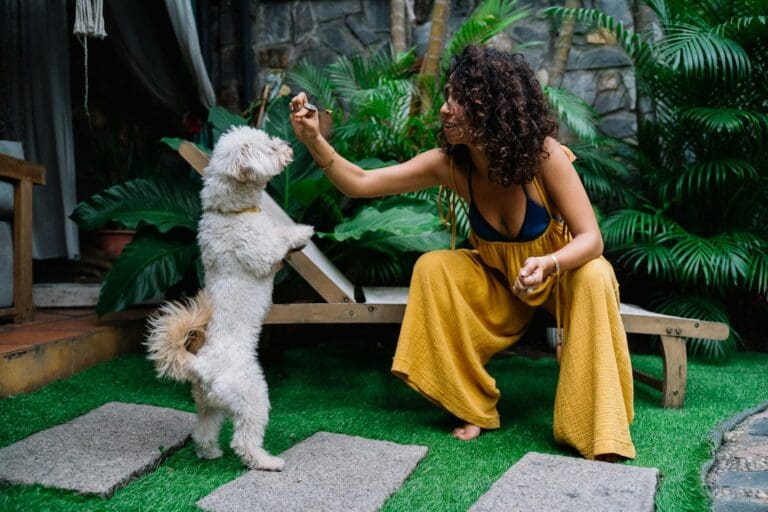 Woman training a white dog outdoors on green grass in a tropical garden.