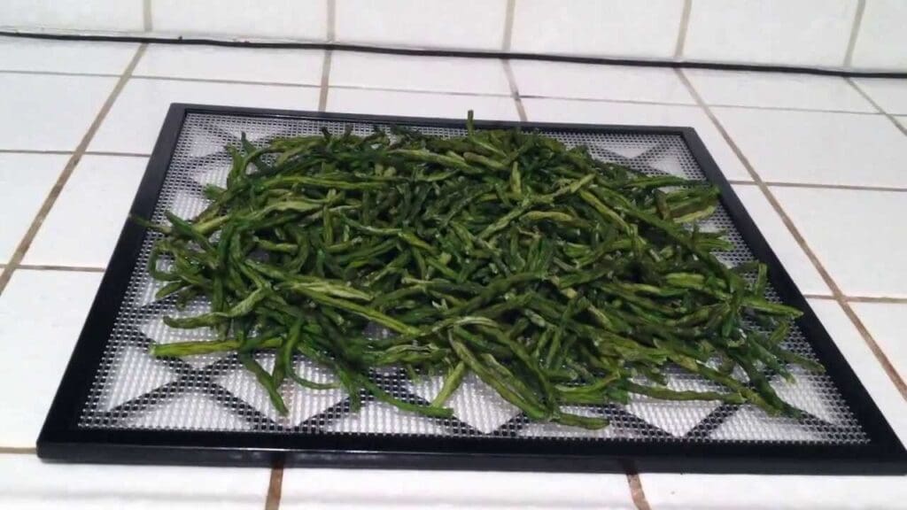Frozen green beans