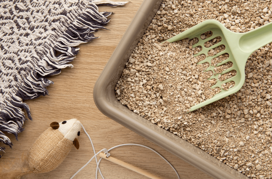 reusable cat litter container