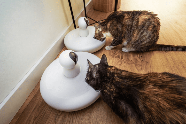 Two cats eating from modern smart pet feeders on a hardwood floor, showcasing one of the top pet trends in automated feeding technology.