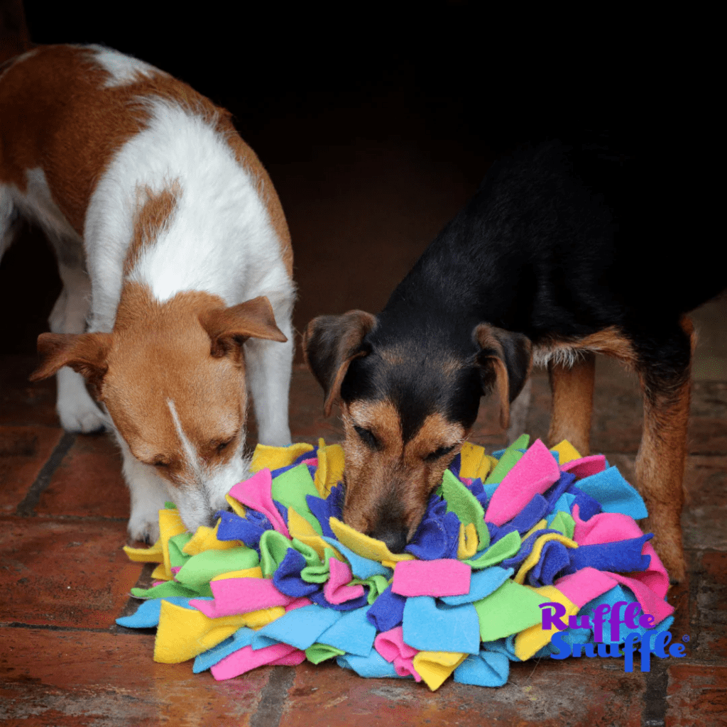 viral snuffle mat for dogs