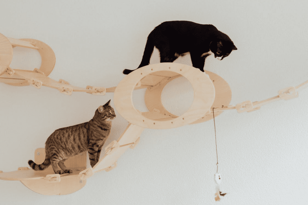 indoor cat enrichment climing decoration
