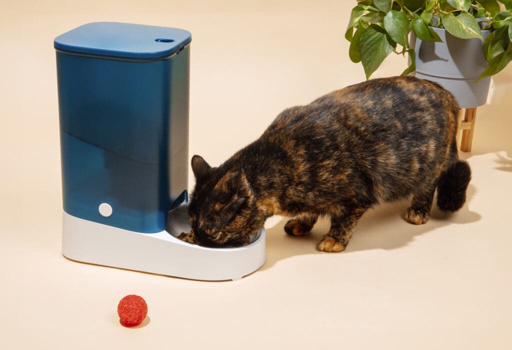 smart cat water food feeder