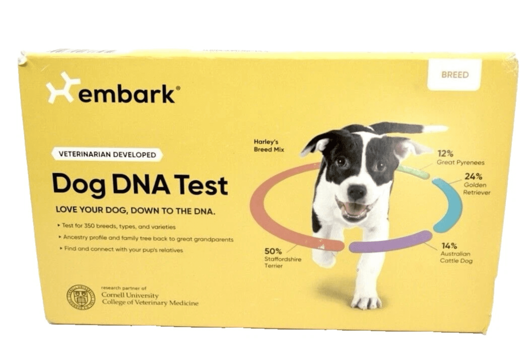 dog dna tests